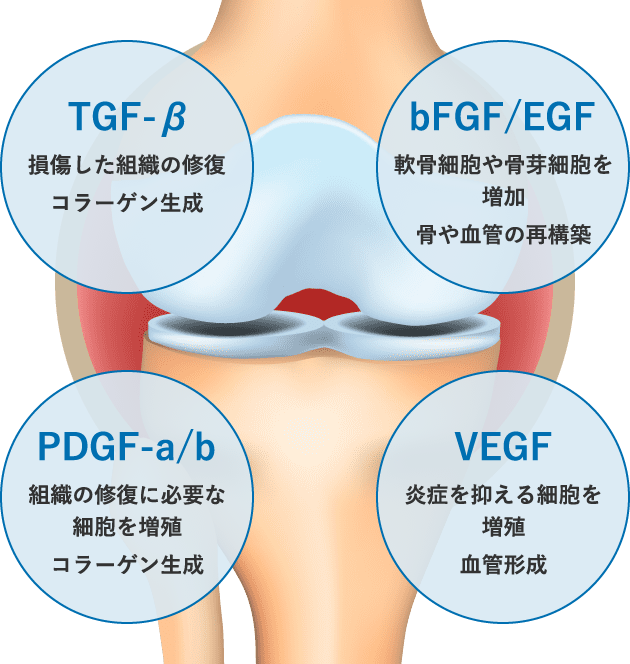 PRPに含まれる成長因子